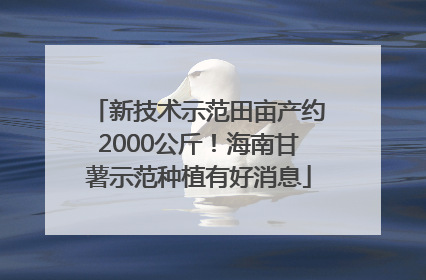 新技术示范田亩产约2000公斤！海南甘薯示范种植有好消息