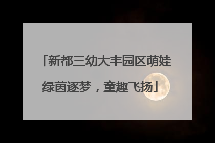 新都三幼大丰园区萌娃绿茵逐梦，童趣飞扬