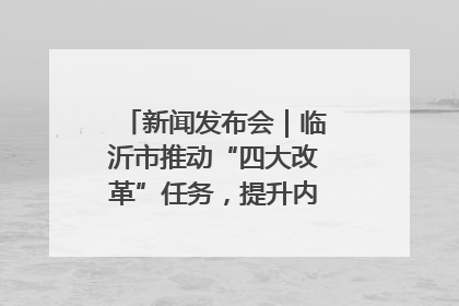 新闻发布会｜临沂市推动“四大改革”任务，提升内部审计监督效能