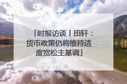 时报访谈丨田轩：货币政策仍将维持适度宽松主基调