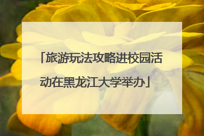 旅游玩法攻略进校园活动在黑龙江大学举办