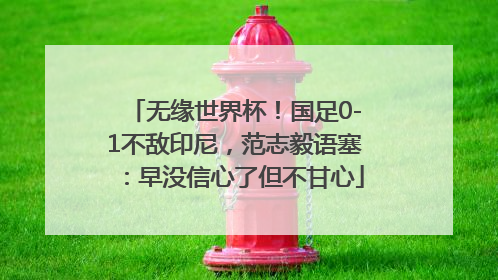 无缘世界杯！国足0-1不敌印尼，范志毅语塞：早没信心了但不甘心
