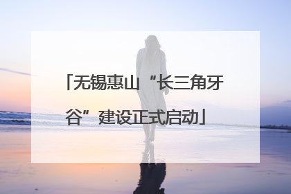 无锡惠山“长三角牙谷”建设正式启动