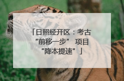 日照经开区：考古“前移一步” 项目“降本提速”