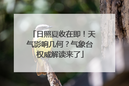 日照夏收在即！天气影响几何？气象台权威解读来了