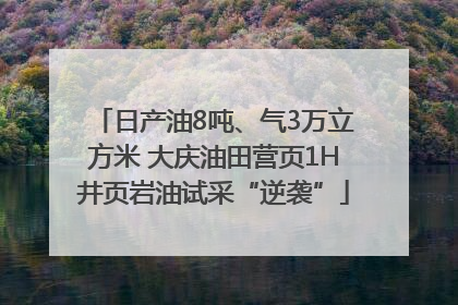日产油8吨、气3万立方米 大庆油田营页1H井页岩油试采“逆袭”