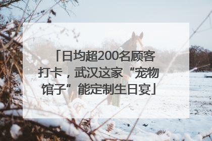 日均超200名顾客打卡，武汉这家“宠物馆子”能定制生日宴