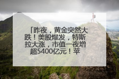 昨夜，黄金突然大跌！美股爆发，特斯拉大涨，市值一夜增超5400亿元！苹果传来大消息