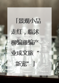景观小品走红，临沭柳编藤编产业成文旅“新宠”