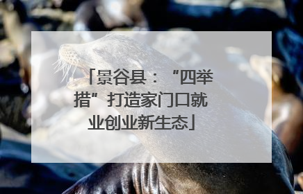 景谷县：“四举措”打造家门口就业创业新生态