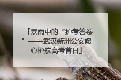 暴雨中的“护考答卷”——武汉新洲公安暖心护航高考首日