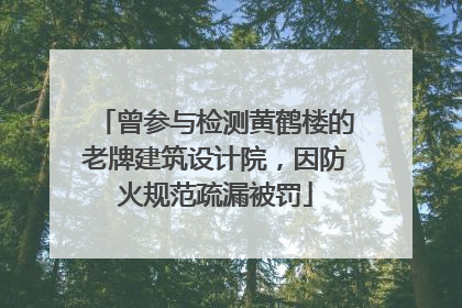曾参与检测黄鹤楼的老牌建筑设计院，因防火规范疏漏被罚