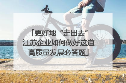 更好地“走出去” 江苏企业如何做好这道高质量发展必答题