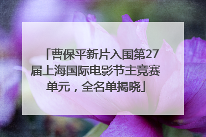 曹保平新片入围第27届上海国际电影节主竞赛单元，全名单揭晓