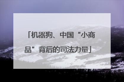 机器狗、中国“小商品”背后的司法力量