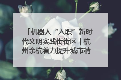 机器人“入职”新时代文明实践街街区｜杭州余杭着力提升城市精细化智能化管理水平