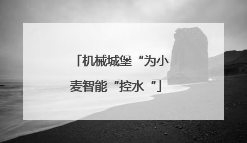 机械城堡“为小麦智能“控水“