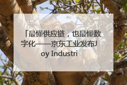 最懂供应链，也最懂数字化——京东工业发布Joy Industrial 重塑工业未来