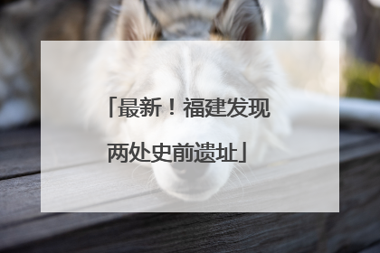最新！福建发现两处史前遗址