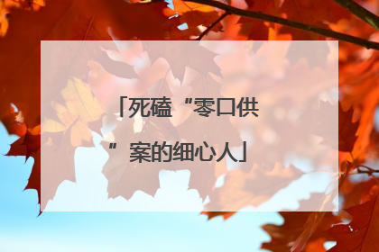 死磕“零口供”案的细心人