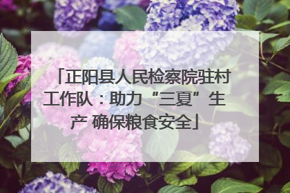 正阳县人民检察院驻村工作队：助力“三夏”生产 确保粮食安全