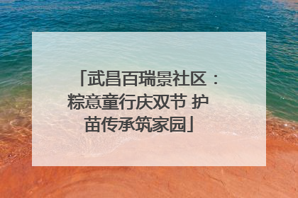 武昌百瑞景社区：粽意童行庆双节 护苗传承筑家园