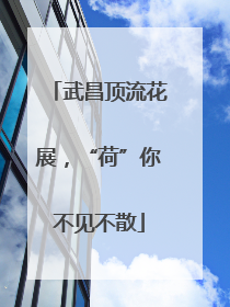 武昌顶流花展，“荷”你不见不散