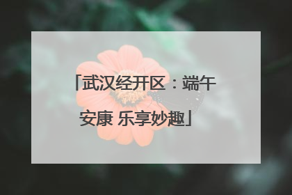 武汉经开区：端午安康 乐享妙趣