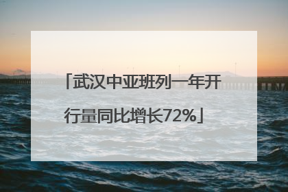 武汉中亚班列一年开行量同比增长72%