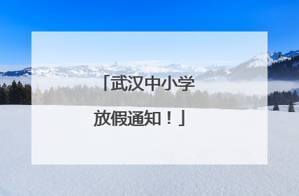武汉中小学放假通知！
