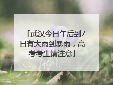武汉今日午后到7日有大雨到暴雨，高考考生请注意