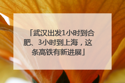 武汉出发1小时到合肥、3小时到上海，这条高铁有新进展