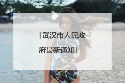 武汉市人民政府最新通知