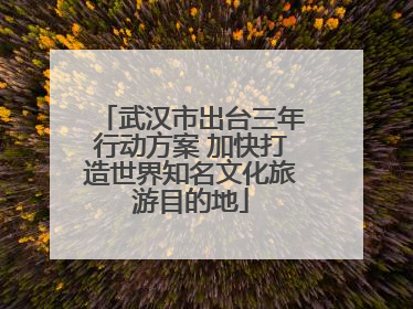 武汉市出台三年行动方案 加快打造世界知名文化旅游目的地
