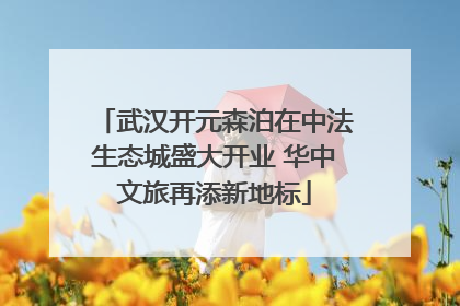 武汉开元森泊在中法生态城盛大开业 华中文旅再添新地标