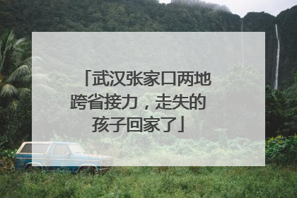 武汉张家口两地跨省接力，走失的孩子回家了
