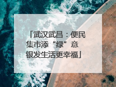 武汉武昌：便民集市添“绿”意 银发生活更幸福