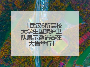 武汉6所高校大学生国旗护卫队展示邀请赛在大悟举行