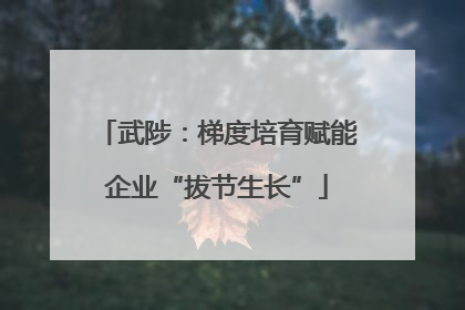 武陟：梯度培育赋能企业“拔节生长”