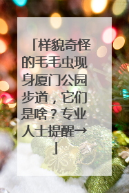 样貌奇怪的毛毛虫现身厦门公园步道，它们是啥？专业人士提醒→