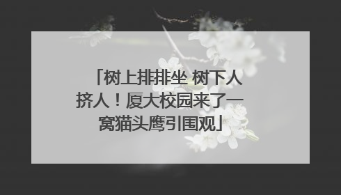 树上排排坐 树下人挤人！厦大校园来了一窝猫头鹰引围观