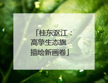 桂东沤江：高擎生态旗 描绘新画卷