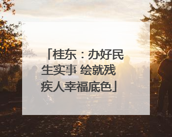 桂东：办好民生实事 绘就残疾人幸福底色