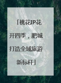 桃花IP花开四季，肥城打造全域旅游新标杆