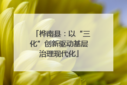 桦南县：以“三化”创新驱动基层治理现代化