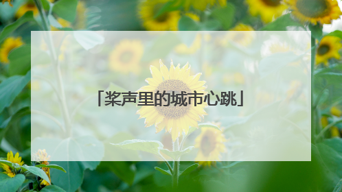 桨声里的城市心跳