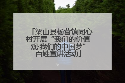 梁山县杨营镇同心村开展“我们的价值观·我们的中国梦”百姓宣讲活动