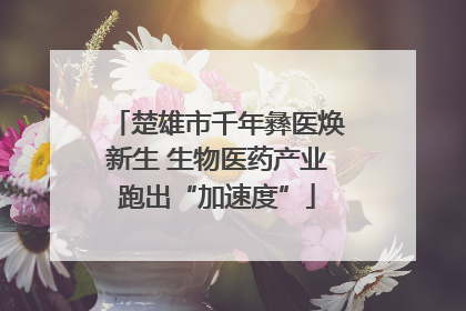楚雄市千年彝医焕新生 生物医药产业跑出“加速度”