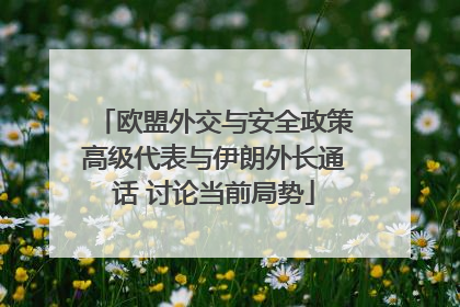 欧盟外交与安全政策高级代表与伊朗外长通话 讨论当前局势