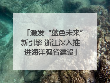 激发“蓝色未来”新引擎 浙江深入推进海洋强省建设